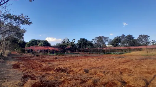 Fazenda / Sítio / Chácara com 3 Quartos à venda, 24200m² no , Cravinhos