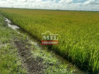 Fazenda / Sítio / Chácara com 3 Quartos à venda, 500m² no , Lagoa da Confusão