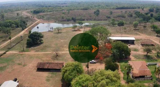 Fazenda / Sítio / Chácara à venda, 5320000m² no Área Rural de Gurupi, Gurupi