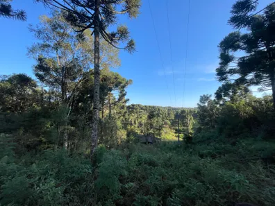 Fazenda / Sítio / Chácara à venda, 5500m² no Pacotuba, Almirante Tamandaré