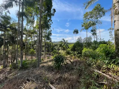 Fazenda / Sítio / Chácara à venda, 11000m² no Massaranduba, Massaranduba