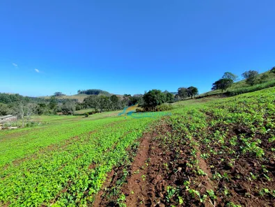 Fazenda / Sítio / Chácara com 5 Quartos à venda, 140360m² no , Guaraniaçu