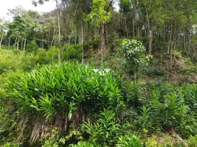 Terreno / Lote / Condomínio à venda, 503m² no Quitandinha, Petrópolis
