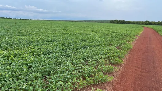 Fazenda / Sítio / Chácara com 7 Quartos à venda, 503m² no , Santa Maria do Tocantins