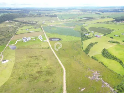 Terreno / Lote / Condomínio à venda, 20000m² no São Luiz do Purunã, Balsa Nova