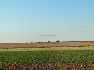 com 3 Quartos à venda, 180m² no , Santa Maria do Tocantins