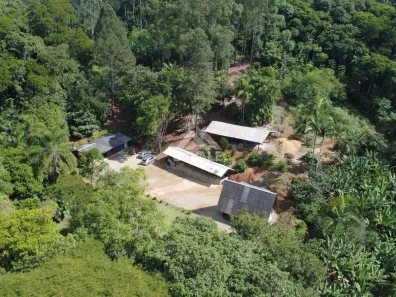 Fazenda / Sítio / Chácara com 3 Quartos à venda, 20855m² no Centro, Massaranduba