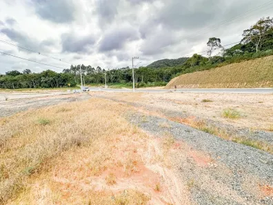 Terreno / Lote / Condomínio à venda, 431m² no Nossa Sra. Conceição, Balneário Piçarras