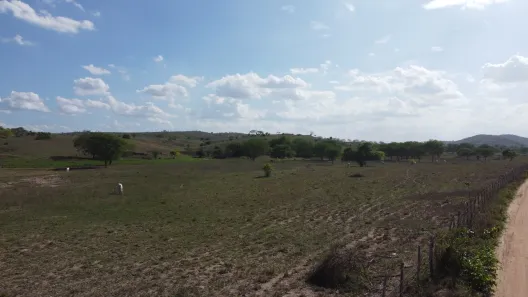 Fazenda / Sítio / Chácara à venda, 170m² no , Passira