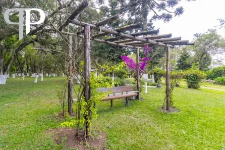 Fazenda / Sítio / Chácara com 4 Quartos para venda ou aluguel, 380m² no Cachoeira, São José dos Pinhais