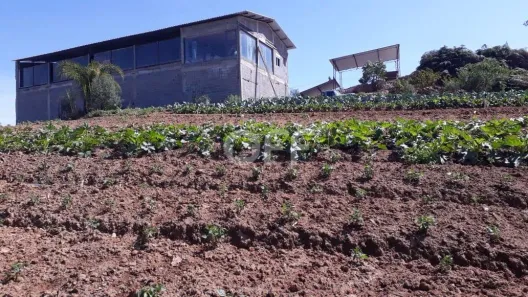 Fazenda / Sítio / Chácara com 1 Quarto à venda, 250m² no Ibiúna, Ibiúna