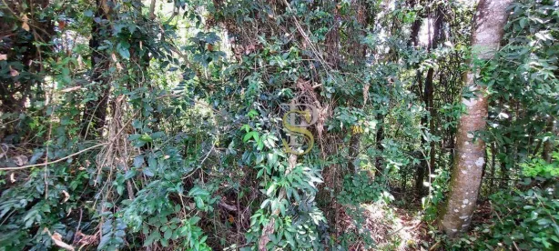 Terreno / Lote / Condomínio à venda, 1675m² no Caraguatá, Mairiporã