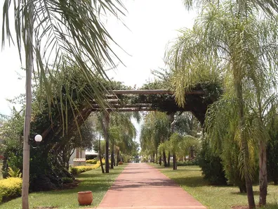 Terreno / Lote / Condomínio à venda, 1250m² no , Sertaneja