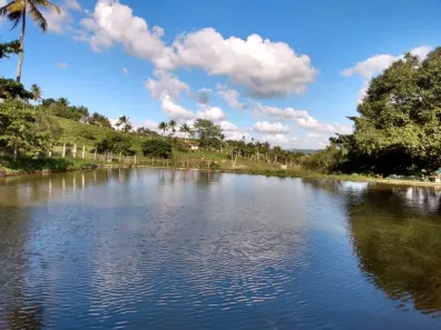 Fazenda / Sítio / Chácara com 7 Quartos à venda, 240000m² no Matriz, Vitória de Santo Antão