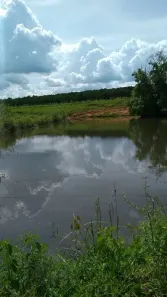 Fazenda / Sítio / Chácara com 2 Quartos à venda, 55000m² no , Nerópolis