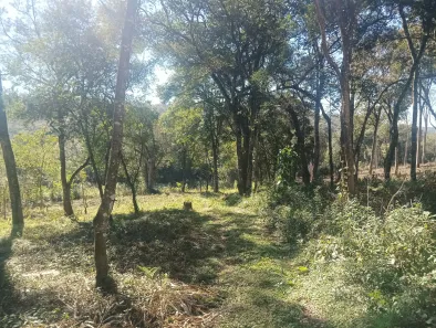 Terreno / Lote / Condomínio à venda, 4451m² no Jardim Boa Vista, Campo Magro
