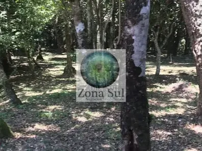 Fazenda / Sítio / Chácara com 2 Quartos à venda, 60m² no Caieiras, Sarapuí
