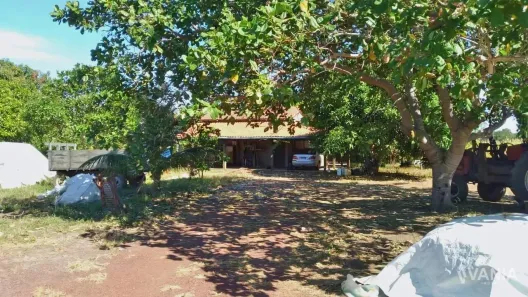 Fazenda / Sítio / Chácara à venda, 726000m² no Setor Central, Ponte Alta do Tocantins