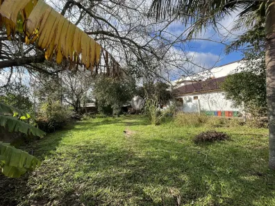 Terreno / Lote / Condomínio para alugar, 312m² no Juscelino Kubitschek, Santa Maria