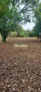 Fazenda / Sítio / Chácara com 4 Quartos para venda ou aluguel, 200m² no Nova Veneza, Paulínia