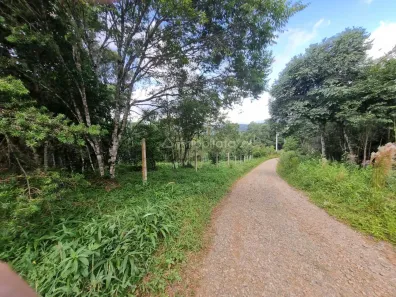 Fazenda / Sítio / Chácara com 2 Quartos à venda, 108m² no Área Rural, Campina Grande do Sul