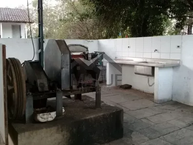 Fazenda / Sítio / Chácara com 4 Quartos à venda, 33000m² no Área Rural de Saltinho, Saltinho