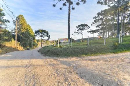 Fazenda / Sítio / Chácara com 3 Quartos à venda, 216m² no Palmeirinha, Campina Grande do Sul