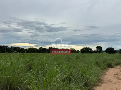 Fazenda / Sítio / Chácara à venda, 500m² no , Formoso do Araguaia