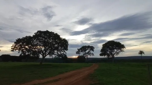 Fazenda / Sítio / Chácara à venda, 300000m² no Centro, Formosa