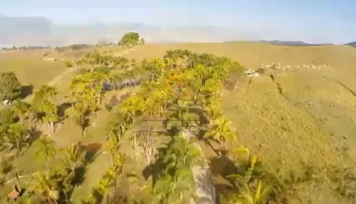 Fazenda / Sítio / Chácara com 10 Quartos à venda, 1452000m² no Vila Galvão, Caçapava