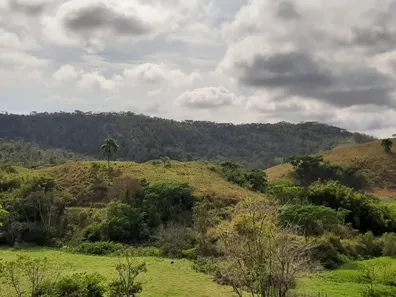 Fazenda / Sítio / Chácara à venda no Dorândia, Barra do Piraí
