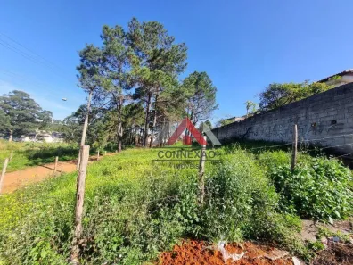 Terreno / Lote / Condomínio à venda, 216m² no Cidade Edson, Suzano