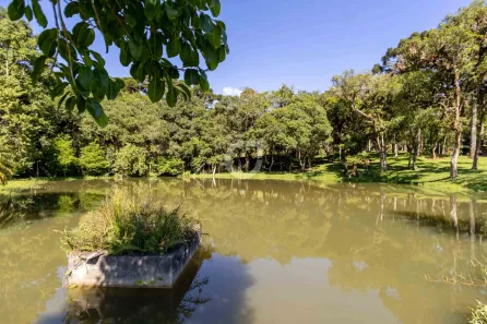 Fazenda / Sítio / Chácara com 3 Quartos à venda, 242000m² no , Campina Grande do Sul