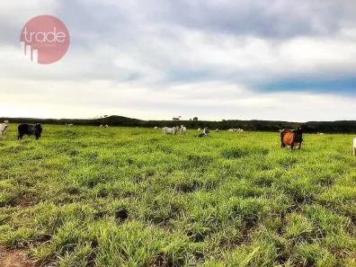 Fazenda / Sítio / Chácara com 2 Quartos à venda, 15800000m² no Setor Central, Pedro Afonso