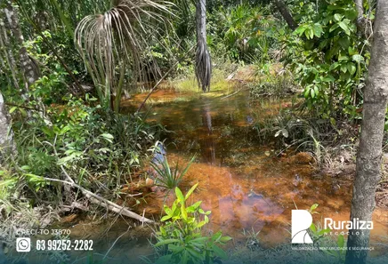 Fazenda / Sítio / Chácara à venda, 290m² no , Ponte Alta do Tocantins