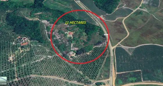 Fazenda / Sítio / Chácara à venda, 11000m² no Conde, Conde