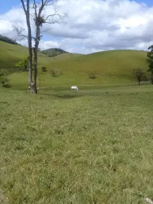 Fazenda / Sítio / Chácara à venda, 950000m² no , Joaquim Gomes