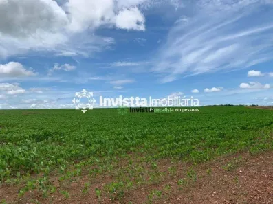 Fazenda / Sítio / Chácara à venda, 683m² no Centro, Divinópolis do Tocantins