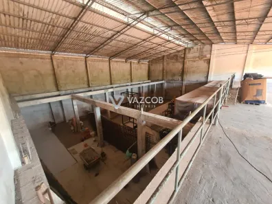 Galpão / Depósito / Armazém com 5 Quartos à venda, 950m² no Águas Lindas, Ananindeua