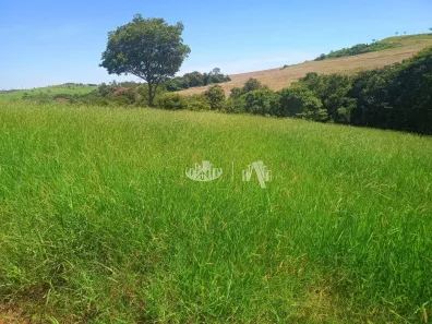Fazenda / Sítio / Chácara com 2 Quartos à venda, 387200m² no Uraí, Uraí