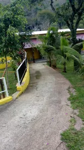Fazenda / Sítio / Chácara com 5 Quartos à venda, 5000m² no Ponte Alta, Barra Mansa