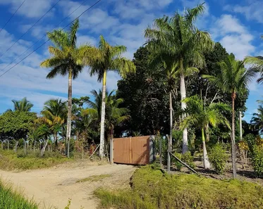 Fazenda / Sítio / Chácara com 4 Quartos à venda, 870000m² no Santa Cruz Cabrália - BA, 45807-000, Santa Cruz Cabrália
