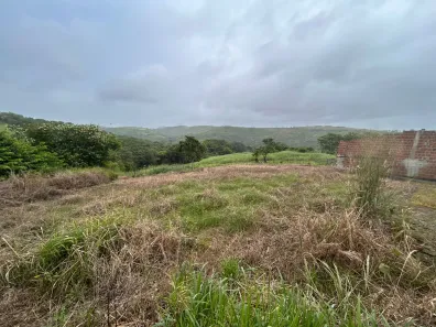 Fazenda / Sítio / Chácara com 3 Quartos à venda, 155000m² no Nossa Senhora do Carmo, Pombos