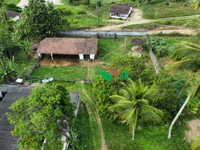 Fazenda / Sítio / Chácara com 3 Quartos à venda, 250m² no Povoado, Alhandra