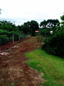 Fazenda / Sítio / Chácara com 2 Quartos à venda, 80m² no Alvorada do Sul, Alvorada do Sul