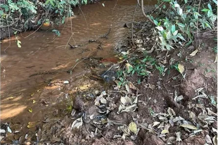 Terreno / Lote / Condomínio à venda, 3726m² no Loteamento Gameleira, Rio Verde