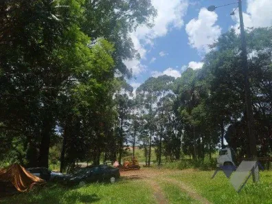 Fazenda / Sítio / Chácara à venda, 10000m² no Loteamento Jardim Real, Guaraniaçu