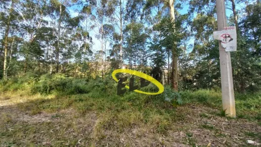 Terreno / Lote / Condomínio à venda, 8800m² no Centro (Caucaia do Alto), Cotia