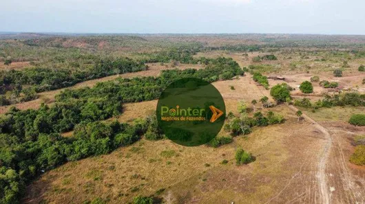 Fazenda / Sítio / Chácara à venda, 19166400m² no , Lagoa da Confusão