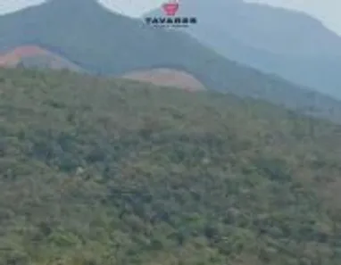 Terreno / Lote / Condomínio à venda, 20000m² no , Caeté